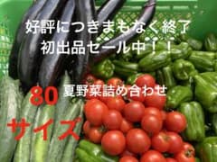 採れたて新鮮 夏野菜セット 詰め合わせのサムネイル