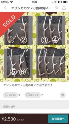 ねこね様 鹿ツノのサムネイル