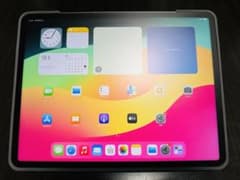 【付属品多数】iPad Pro 12.9 第6世代 WiFi 128GB SGのサムネイル
