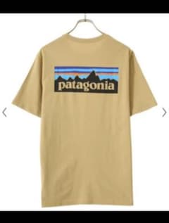 新品タグ付き★patagonia★P-6ロゴオーガニックコットンT★Mのサムネイル
