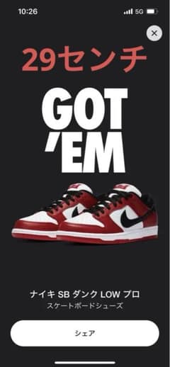 Nike SB Dunk Low Pro シカゴのサムネイル