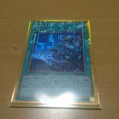 同胞の絆のサムネイル