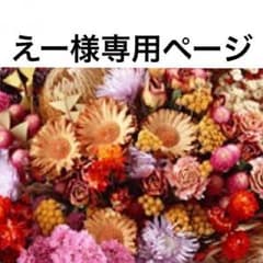 えー様専用ページのサムネイル