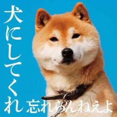 和田様専用のサムネイル