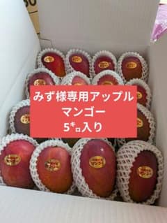 みず様専用 訳ありマンゴー5㌔ - メルカリ