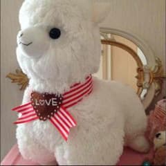 アルパカのサムネイル