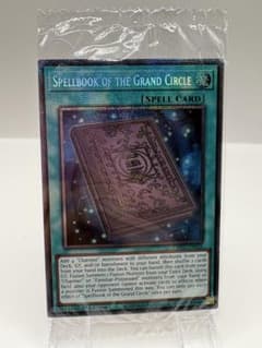 希少 EU版 教導の騎士フルルドリス スターライトレア 遊戯王 新品未