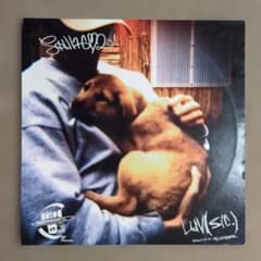 Shingo02 Luv(sic.) アナログレコードのサムネイル