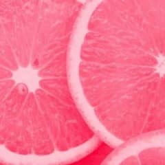 sautan様専用のサムネイル