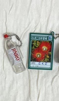 ミニチュアチャーム ガチャガチャ　ジャポニカ学習帳　 JINROのサムネイル