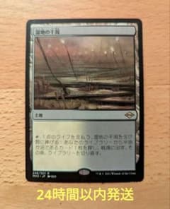 MTG 湿地の干潟　日本語版 1枚のサムネイル