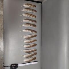 オオタカの羽根、弓道、矢羽、羽箒 オオタカの羽根、弓道、矢羽、羽箒 - メルカリ