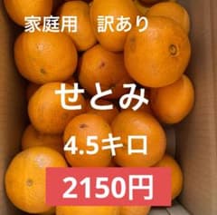せとみ（家庭用） 訳あり4.5キロ 2150円 - メルカリ