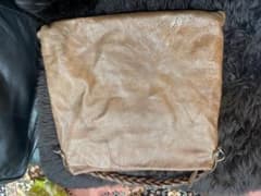 Pelletteria Venetaのサムネイル