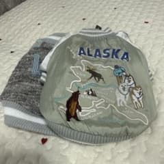 Lifelike 犬用 スカジャン ALASKA 刺繍のサムネイル