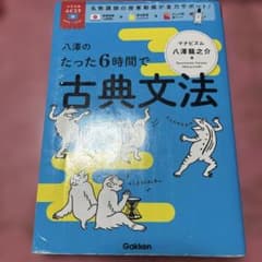 八澤のたった6時間で古典文法のサムネイル