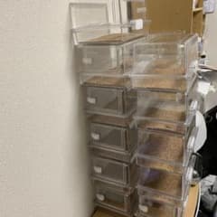 珍さん専用のサムネイル