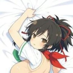 閃乱カグラ 飛鳥 抱き枕カバー 両面印刷 160cm×50cm2wayトリコット
