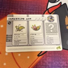 ポケモンバトルカードe+ ルビー サファイア こんちゅうマニアのムツオ