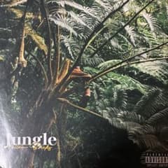 ¥ellow Bucks イエローバックスJungle緑色レコード ellow Bucks イエローバックスJungle緑色レコード - メルカリ
