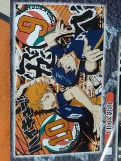 ハイキュー!! マルチクロス 日向翔陽 影山飛雄 70×105cmのサムネイル