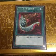 ハーピィの羽根箒 ノーマルのサムネイル