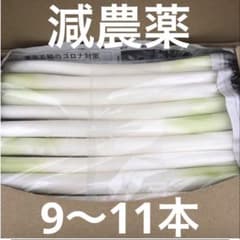 不揃いカットネギ　　　　　おいし〜いよ！ 　　A4サイズのサムネイル