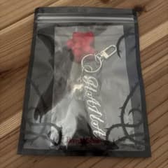 HANA Penlight Charm [HANA]