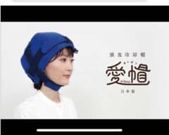 愛帽5時間用一式 アイスジャパン社 - メルカリ