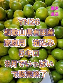 YN26　和歌山県産有田みかん　3S以下　家庭用 約5㎏のサムネイル