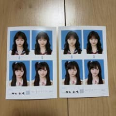 椎名 彩晴 seju 証明写真 vol.2 2枚セットのサムネイル