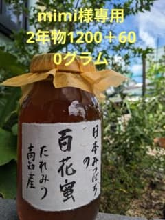 日本ミツバチ 蜂蜜 令和7年度 採れたて　たれ蜜　600g×8 非加熱 日本ミツバチ 蜂蜜 令和7年度 採れたて たれ蜜 600g×8 非加熱 日本