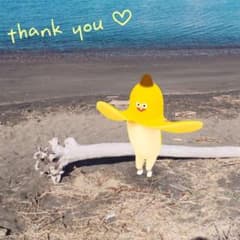 ✻ ほしぴ  ✻  様 専用ページになります(⁎⁍̴̛ᴗ⁍̴̛⁎)のサムネイル