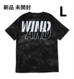 即完売】ウィンダンシー STENSIL S/S TEE 黒 - メルカリ