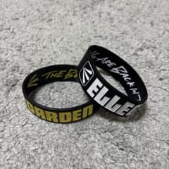 ELLEGARDEN 2018復活ツアー ラバーバンド 2種セットエルレガーデン