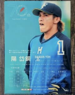 北海道日本ハムファイターズ 陽岱鋼選手 クリアファイルのサムネイル
