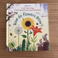 How do flowers grow? 英語絵本のサムネイル