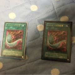 ハーピィの羽根帚のサムネイル