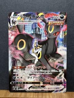ブラッキー CSRのサムネイル