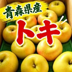 青森県産 トキ りんご 家庭用3キロのサムネイル