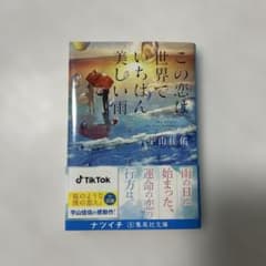 この恋は世界でいちばん美しい雨のサムネイル