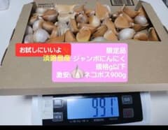 淡路島産ジャンボにんにく限定品　規格以下バラ900g⚠️ネコポスのサムネイル