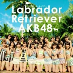 AKB,CDのサムネイル