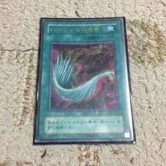 ハーピィの羽根箒のサムネイル