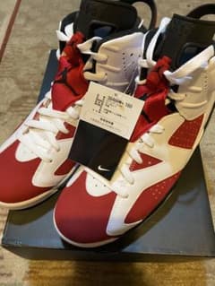 NIKE AIR JORDAN6 カーマイン　サイズ・27cm  新品・黒タグ付のサムネイル