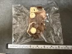 くまのチョコレートケーキ スクイーズのサムネイル