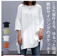 アンティカ　フライスコットンT Tシャツ レディース トップス 半袖のサムネイル