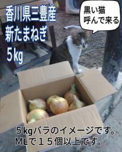 香川県三豊市産　新たまねぎ5kgのサムネイル