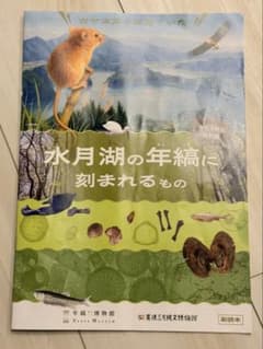 年縞博物館 カヤネズミは見ていた 副読本のサムネイル