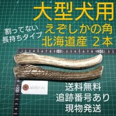 えぞ鹿の角 ２本 大型犬用 260501-01 愛犬のおもちゃのサムネイル